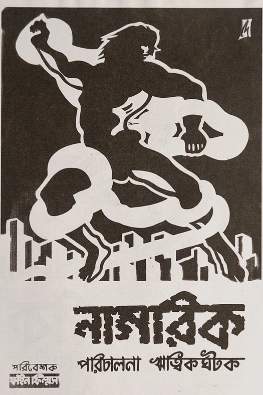 The Citizen poster