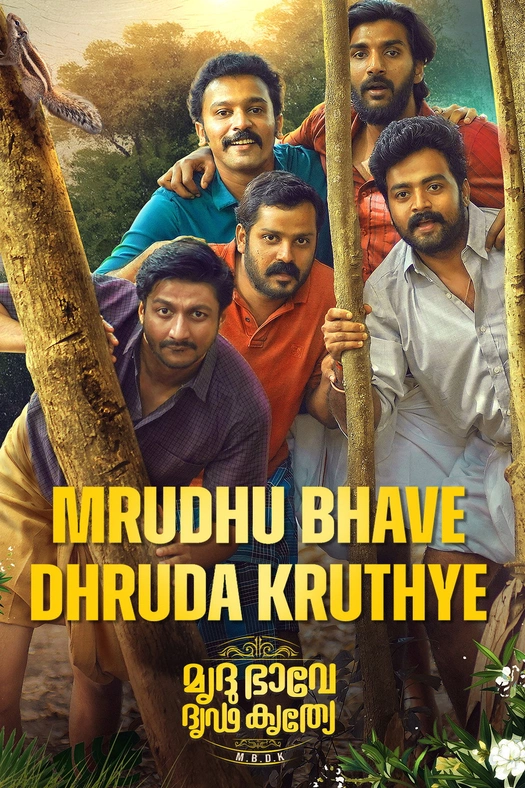 Mrudhu Bhave Dhruda Kruthye poster