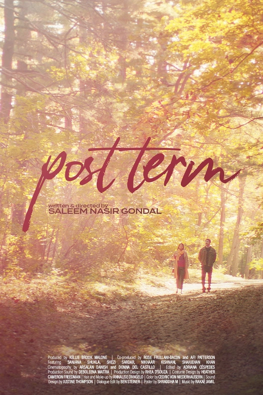 Post Term poster