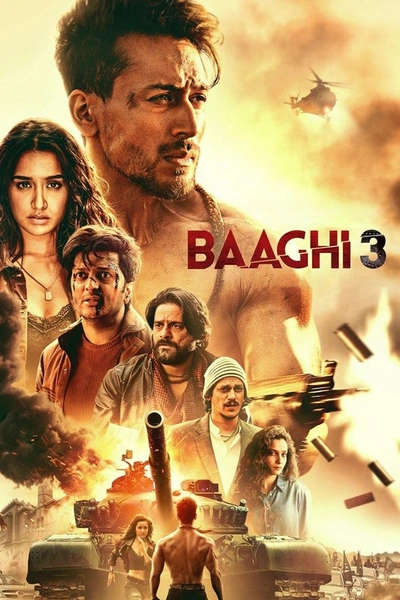 Baaghi 3