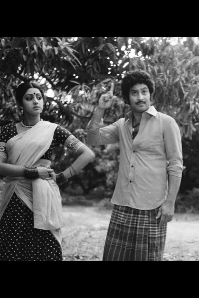 The Krishna Incarnation