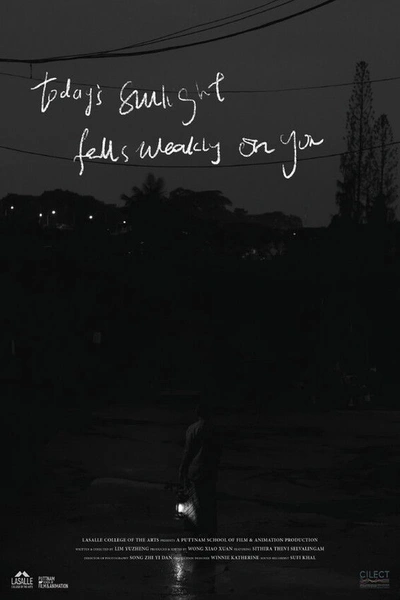 Today's Sunlight Falls Weakly on You