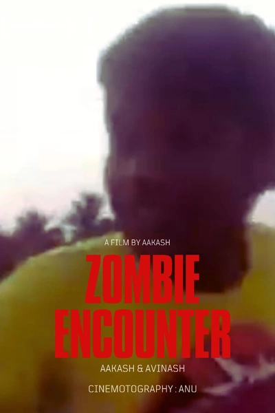 Zombie Encounter
