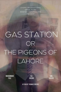 The Pigeons of Lahore
