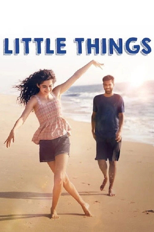 Little Things poster